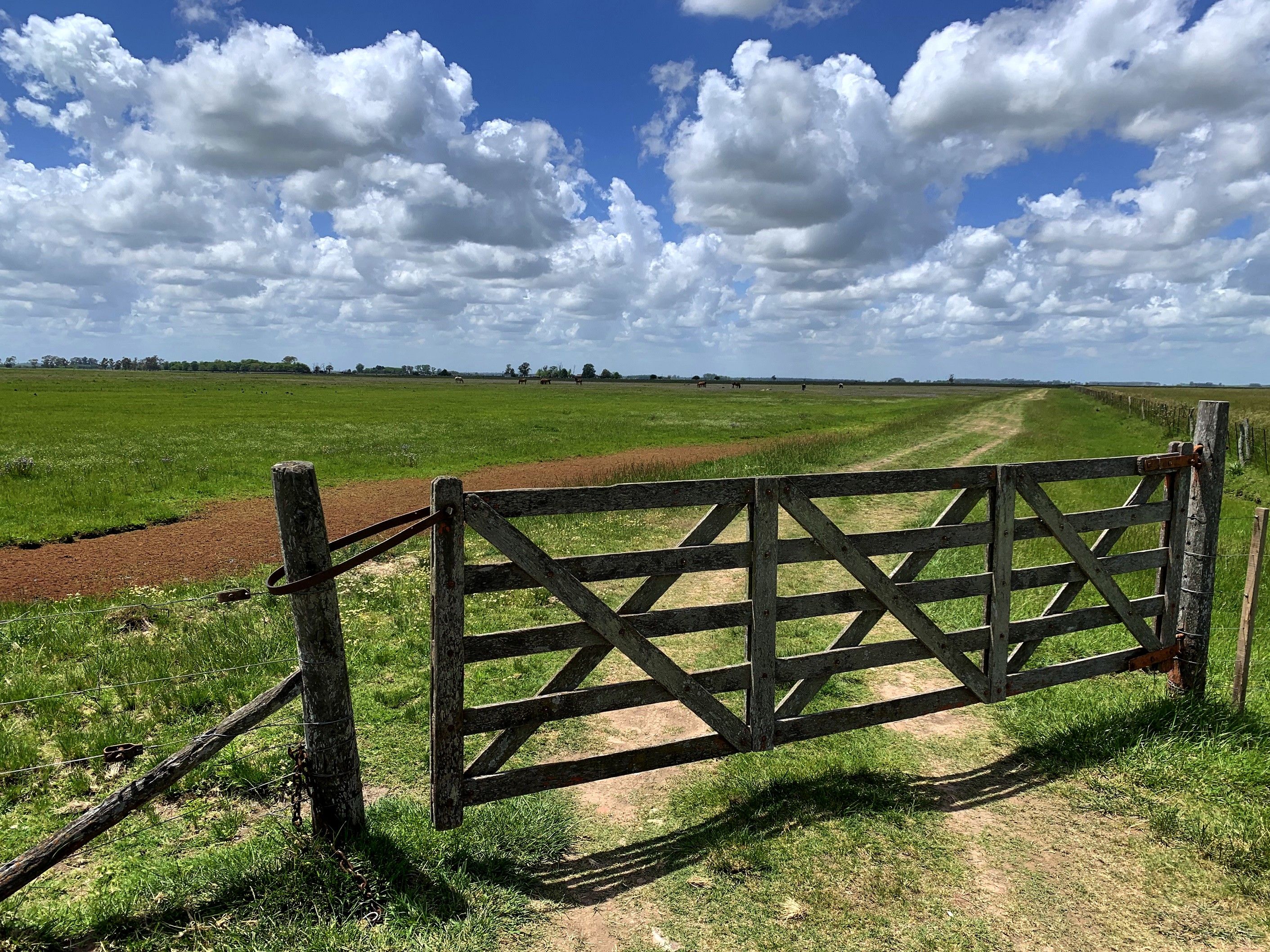 Paisaje rural